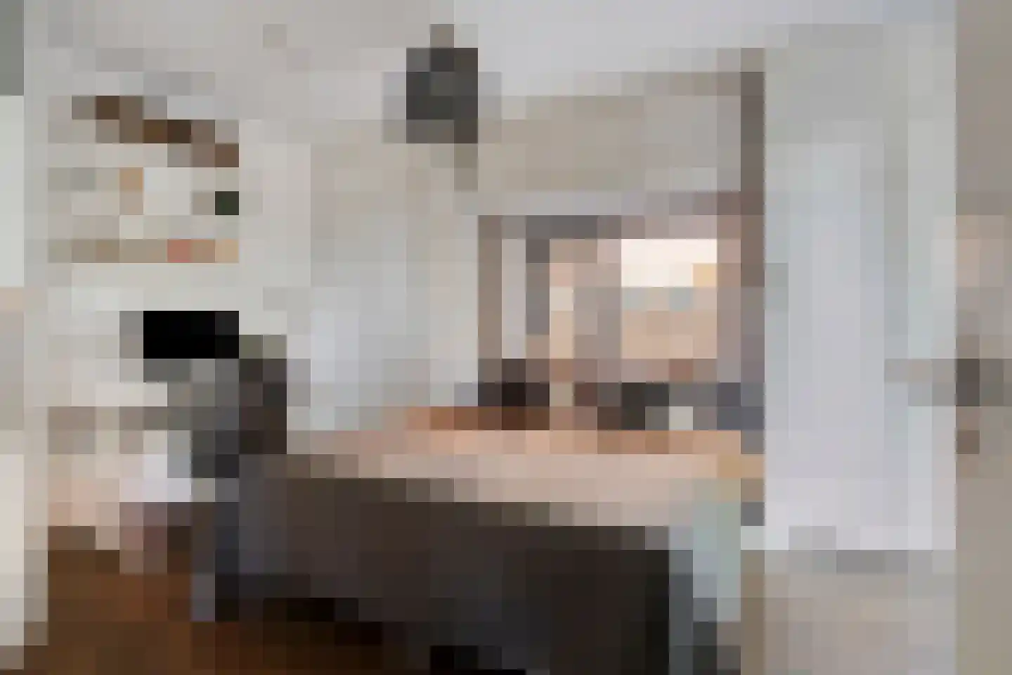 Suikerpeerpad 3 Amsterdam thumbnail 7