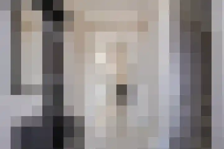 Suitbertusstraat 13 Oudheusden thumbnail 11