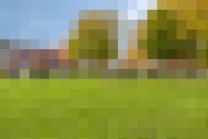Suitbertusstraat 39 Oudheusden thumbnail 31