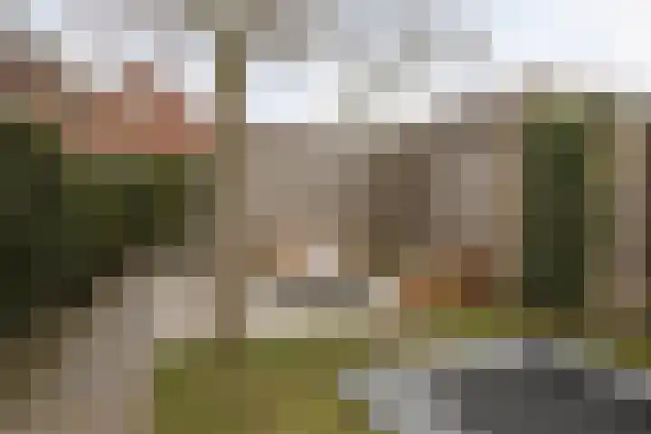 Suiteweg 3 Rosmalen thumbnail 41