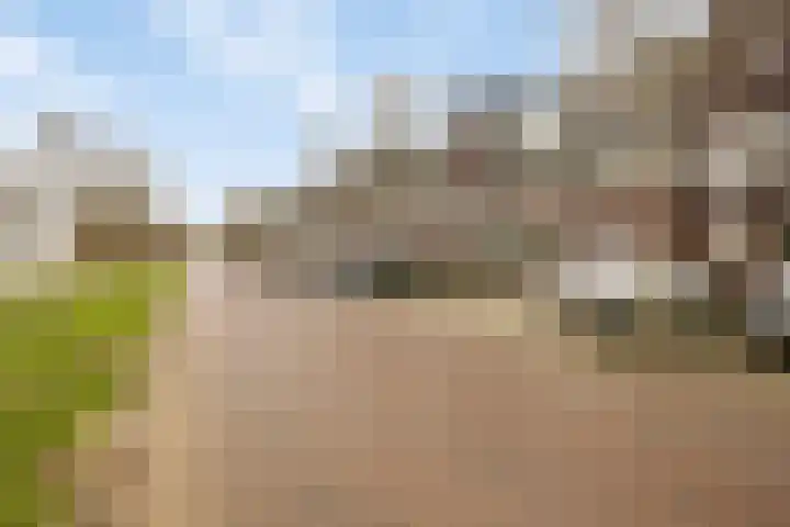 Suiteweg 3 Rosmalen thumbnail 43