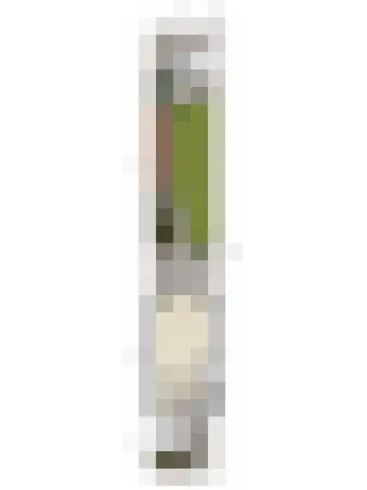Suiteweg 3 Rosmalen thumbnail 47
