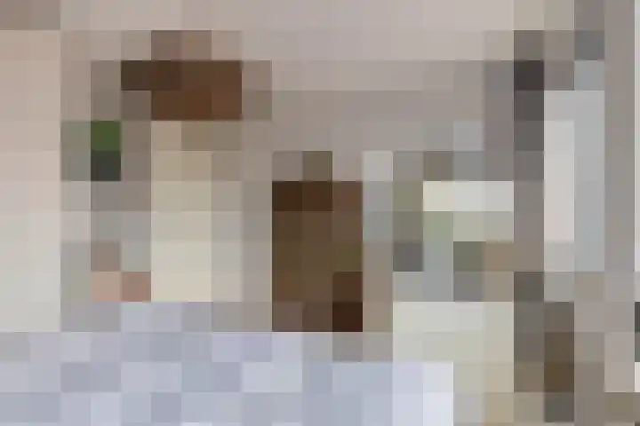 Sulky 11 Nootdorp thumbnail 20