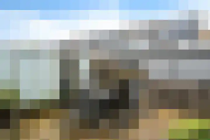 Sullivanlijn 22 Zoetermeer thumbnail 26