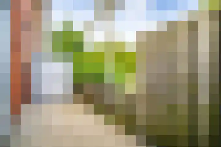 Sumatra 102 Zoetermeer thumbnail 11