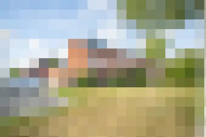 Sumatra 102 Zoetermeer thumbnail 12