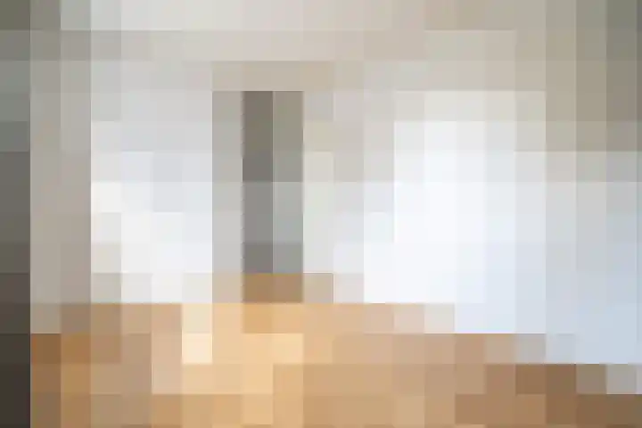 Sumatra 102 Zoetermeer thumbnail 22