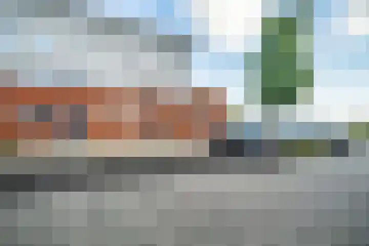 Sumatra 102 Zoetermeer thumbnail 27