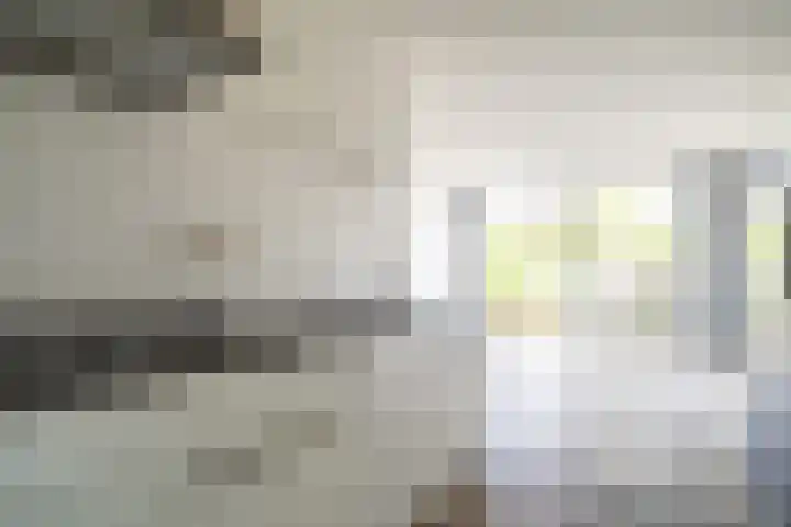 Sumatra 102 Zoetermeer thumbnail 7