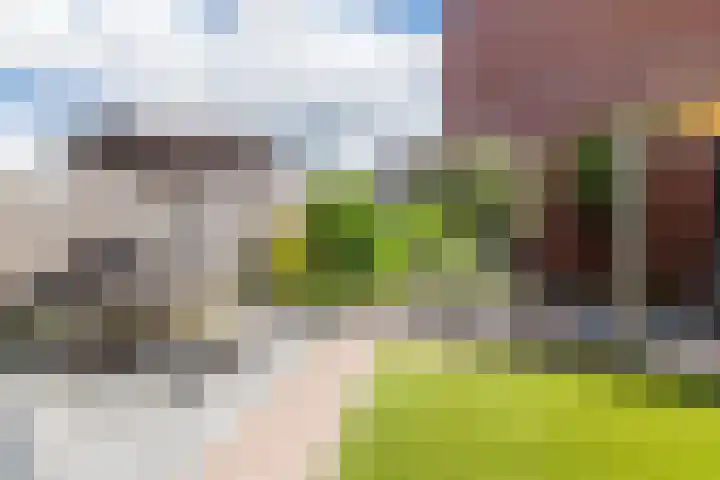 Sumatra 21 Purmerend thumbnail 12