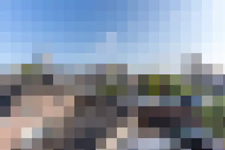 Sumatra 21 Purmerend thumbnail 16