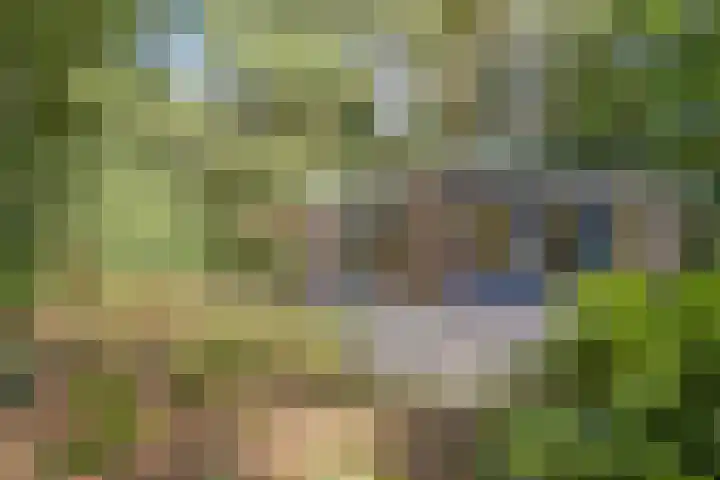 Sumatra 21 Purmerend foto 2