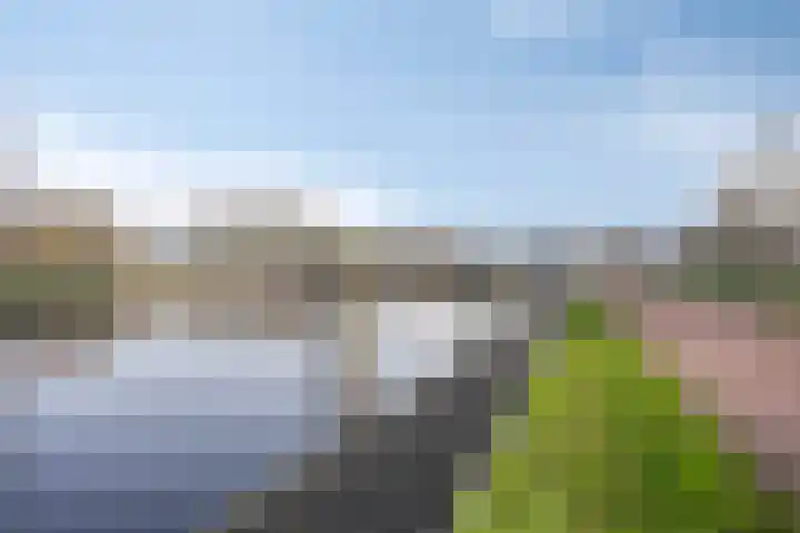 Sumatra 21 Purmerend thumbnail 27