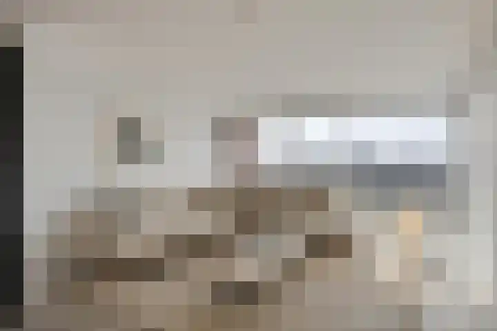 Sumatra 21 Purmerend foto 3