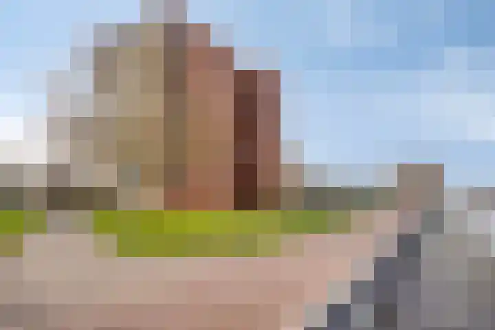 Sumatra 21 Purmerend thumbnail 32