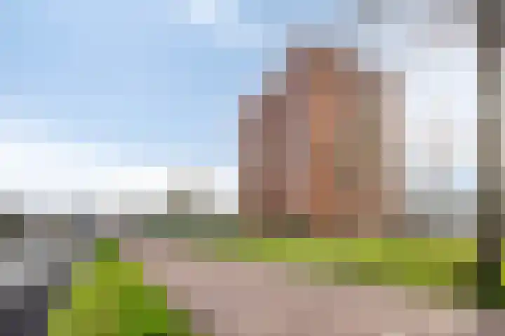 Sumatra 21 Purmerend thumbnail 33