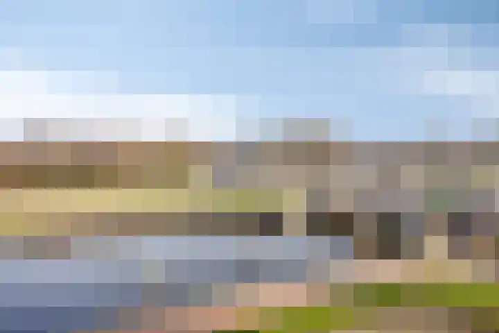 Sumatra 21 Purmerend thumbnail 35