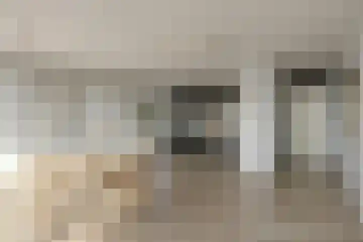 Sumatra 21 Purmerend thumbnail 7