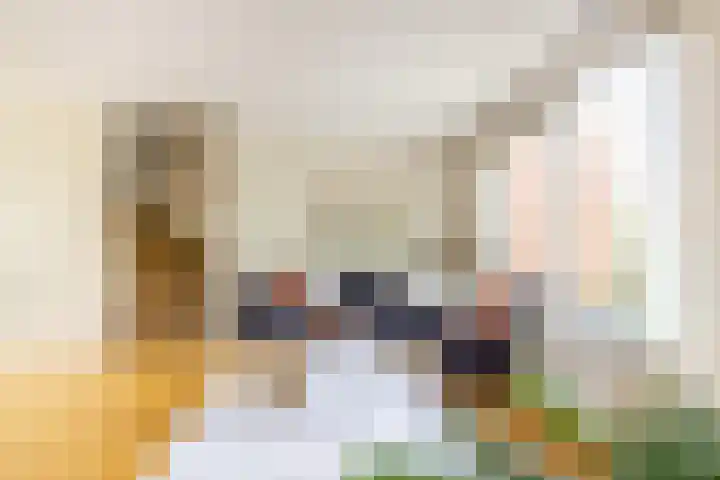 Sumatra 4 Purmerend thumbnail 12