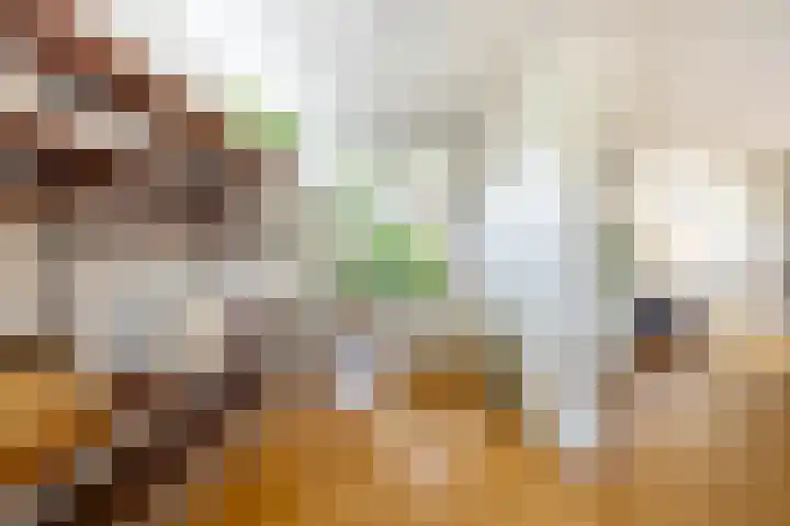 Sumatra 4 Purmerend thumbnail 14