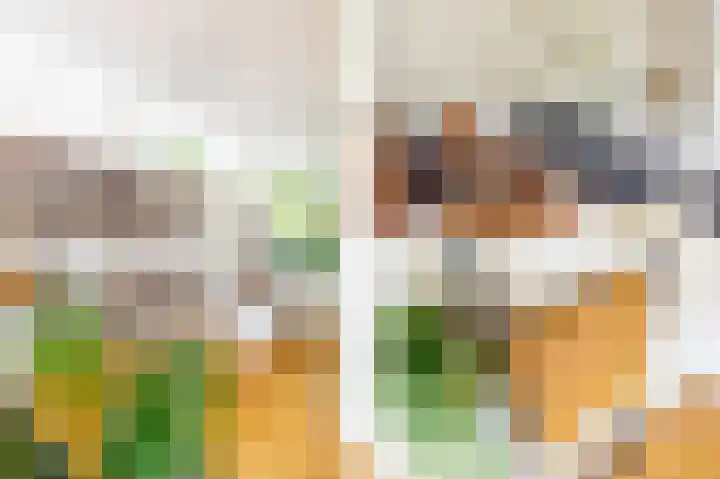 Sumatra 4 Purmerend thumbnail 16