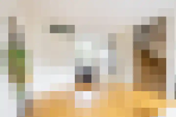 Sumatra 4 Purmerend thumbnail 17