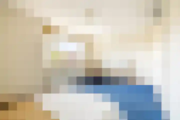 Sumatra 4 Purmerend thumbnail 23
