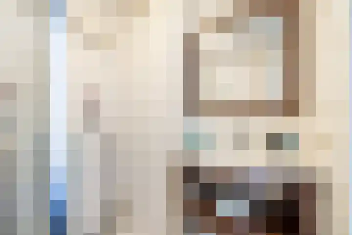 Sumatra 4 Purmerend thumbnail 29