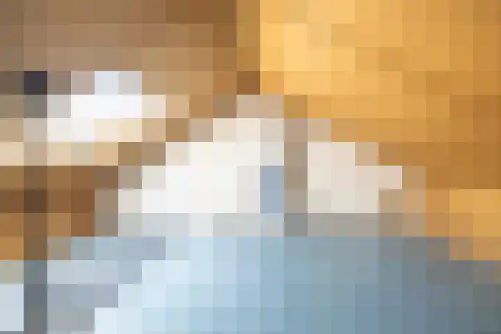 Sumatra 4 Purmerend thumbnail 31