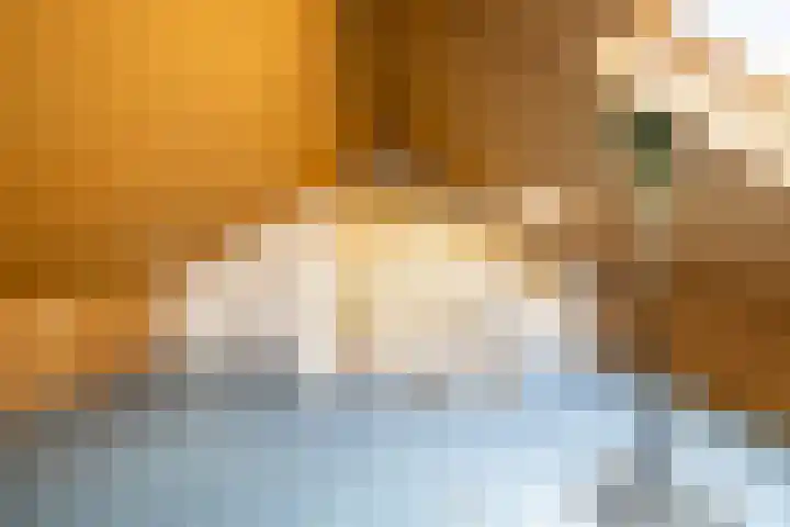 Sumatra 4 Purmerend thumbnail 33