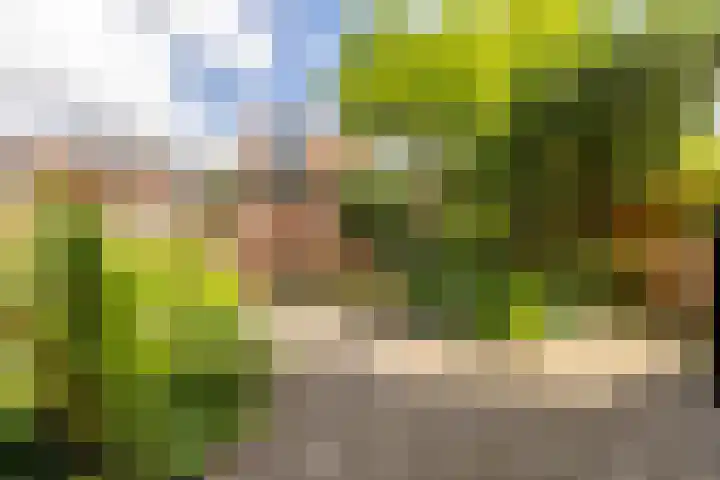 Sumatra 4 Purmerend thumbnail 34