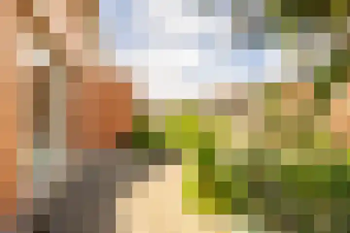 Sumatra 4 Purmerend thumbnail 35