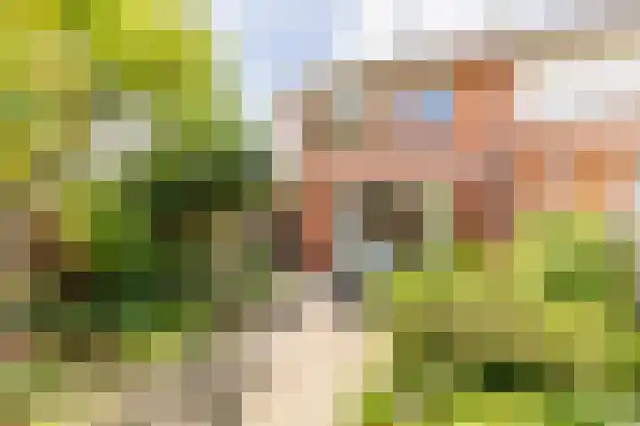 Sumatra 4 Purmerend thumbnail 36