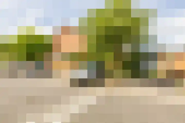 Sumatra 4 Purmerend thumbnail 37