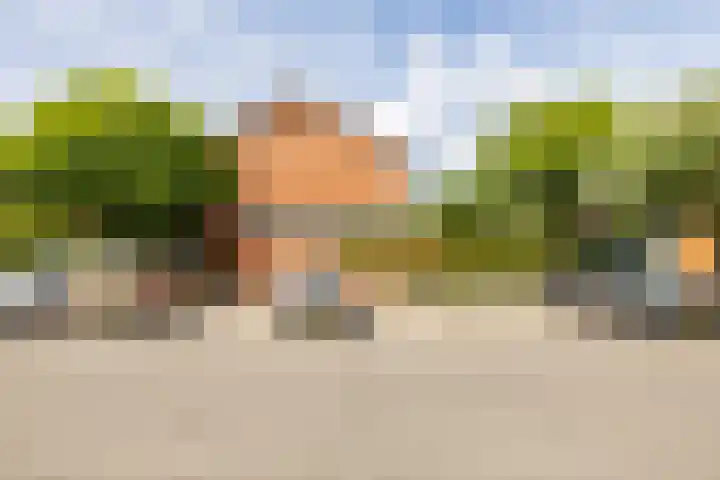 Sumatra 4 Purmerend thumbnail 38