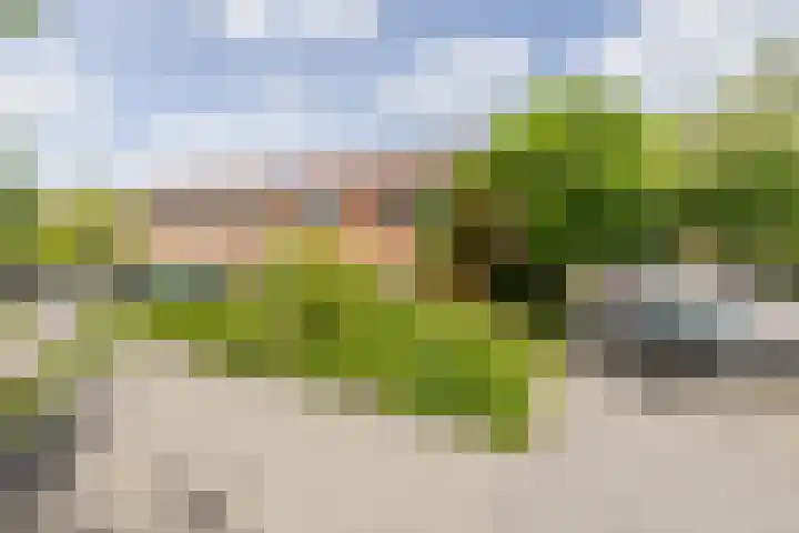 Sumatra 4 Purmerend thumbnail 39