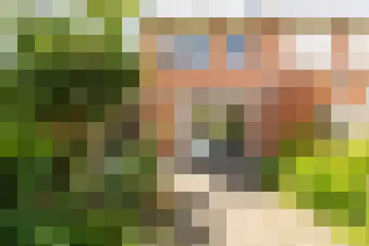 Sumatra 4 Purmerend thumbnail 4