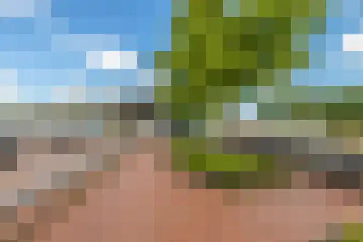 Sumatra 4 Purmerend thumbnail 41