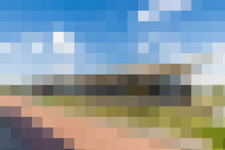 Sumatra 4 Purmerend thumbnail 42