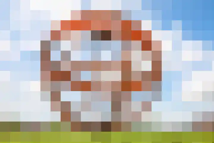 Sumatra 4 Purmerend thumbnail 43