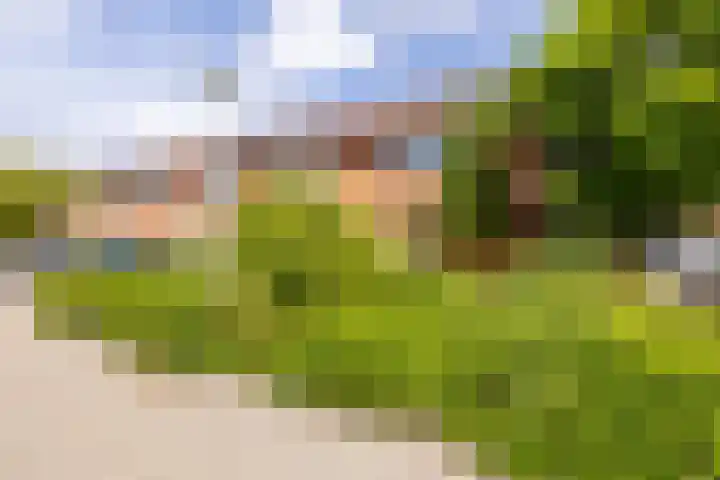 Sumatra 4 Purmerend thumbnail 5