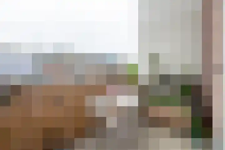 Sumatraplantsoen 62 Amsterdam thumbnail 12