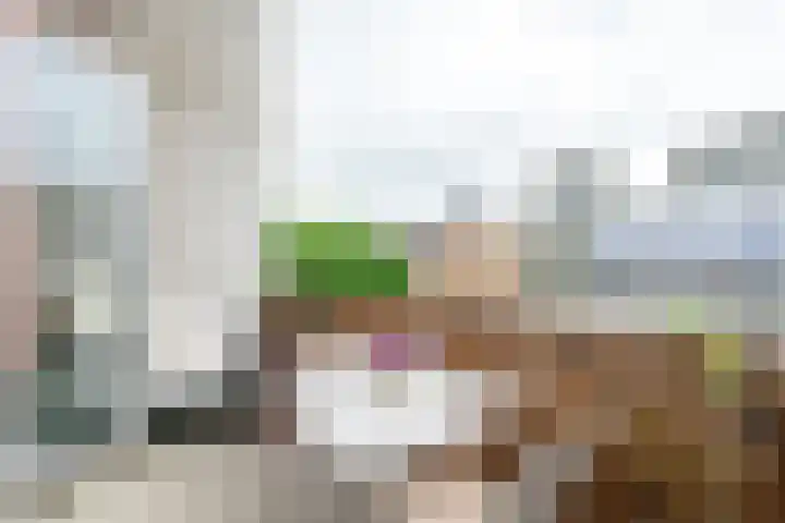 Sumatraplantsoen 62 Amsterdam thumbnail 5
