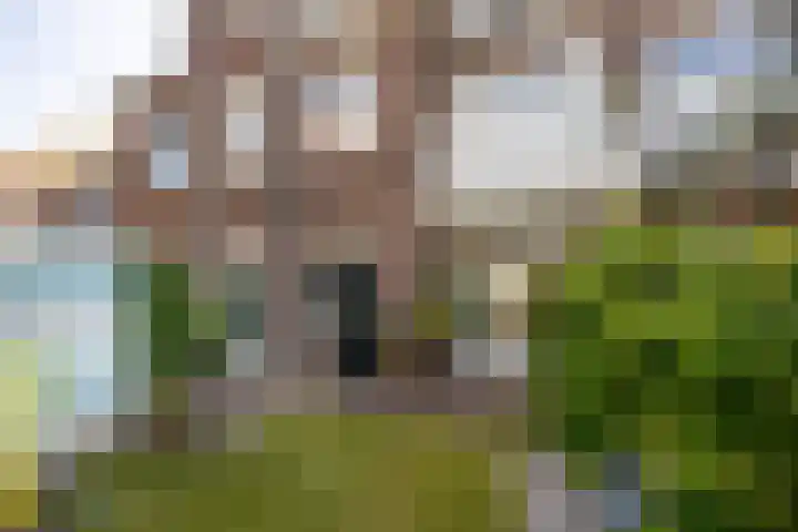 Sumatrastraat 108 Leiden thumbnail 24