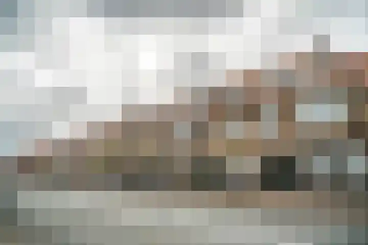 Sumatrastraat 52 B Leiden thumbnail 30