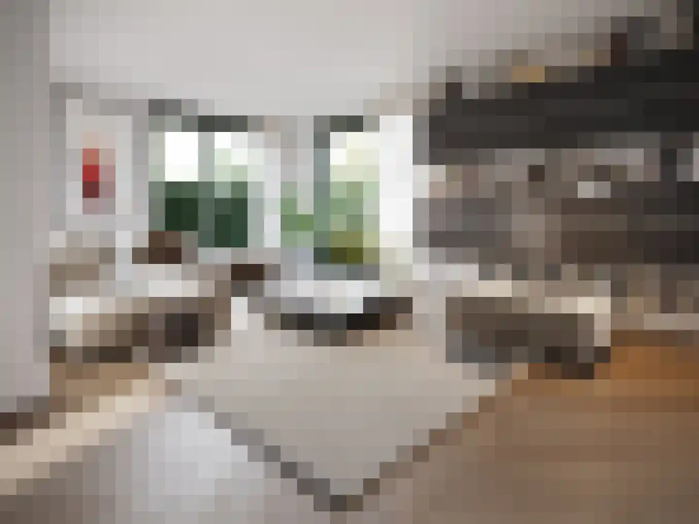 Sumpelmaat 52 Borne thumbnail 4