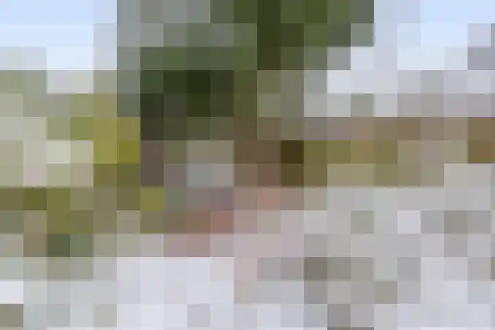Sumpiusstraat 7 Purmerend thumbnail 34