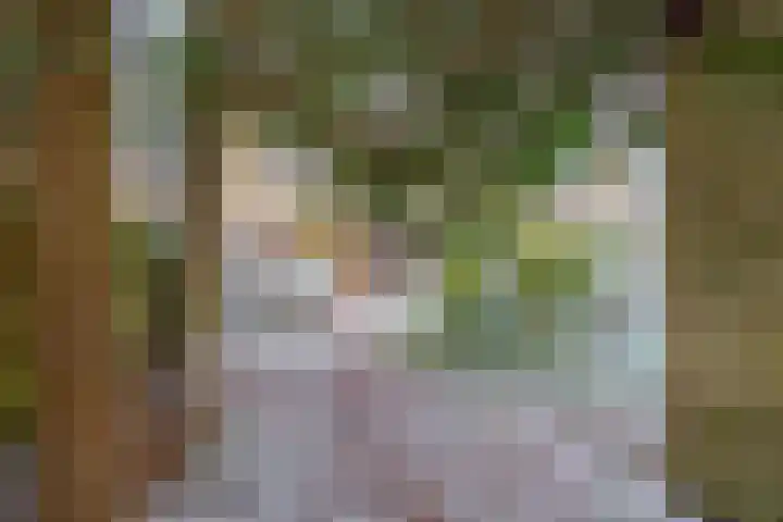 Sumpiusstraat 7 Purmerend thumbnail 35