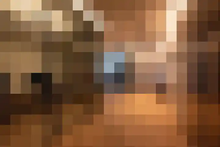 Surinamepad 118 Haarlem thumbnail 31