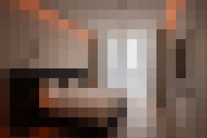 Surinamepad 118 Haarlem thumbnail 46
